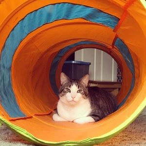 Meet your Posher, Emma